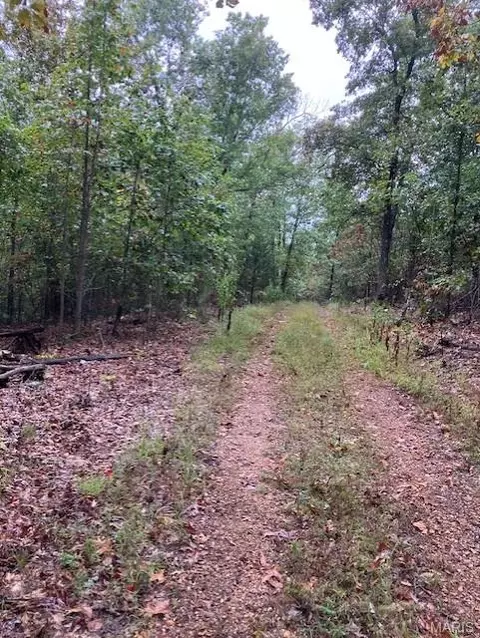 179 Madison Cr 410, Fredericktown, MO 63645