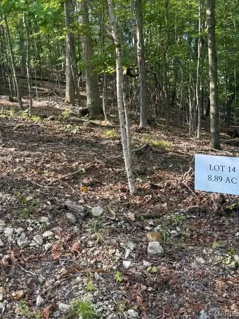 110 Steeple Point Dr Lot Apt 14 Dr, Defiance, MO 63341 photo 2