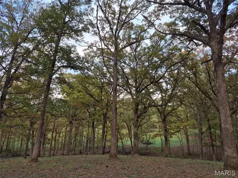Exterior - 0 Highway D - Tract 5, Eolia, MO 63344 photo 1 of 23