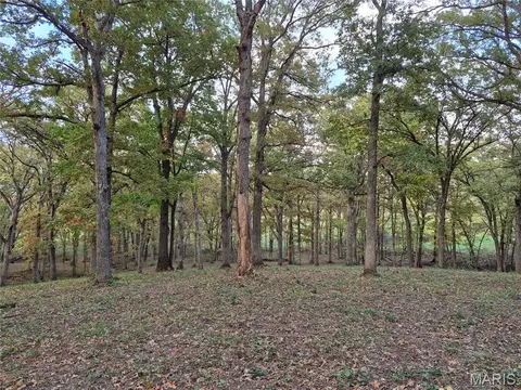 Exterior - 0 Highway D - Tract 5, Eolia, MO 63344 photo 6 of 23