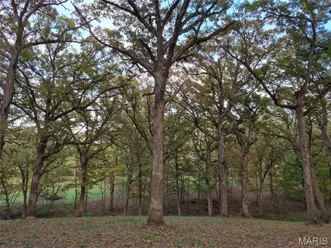 Exterior - 0 Highway D - Tract 5, Eolia, MO 63344 photo 11 of 23