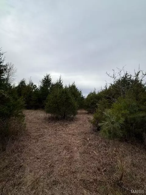 5387 Hurryville Rd, Farmington, MO 63640