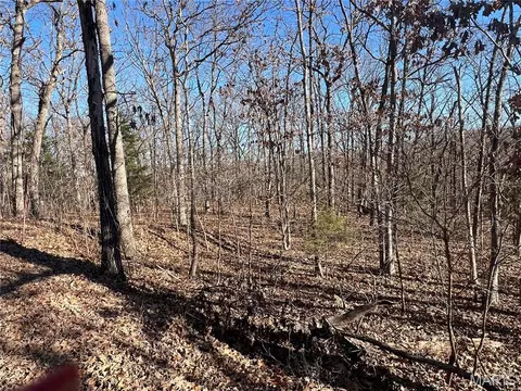 tbd Thong Tree Rd, Camdenton, MO 65020