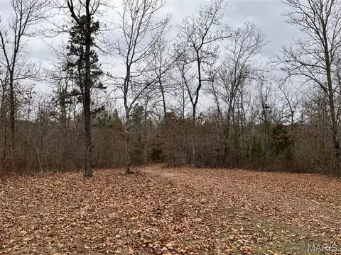 0 Wayne 443, Piedmont, MO 63957