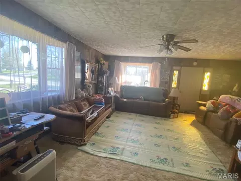 Other - 638 E Ford Ave, Witt, IL 62094 photo 3 of 6