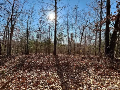lot S 12-17 County Road 4253, Salem, MO 65560
