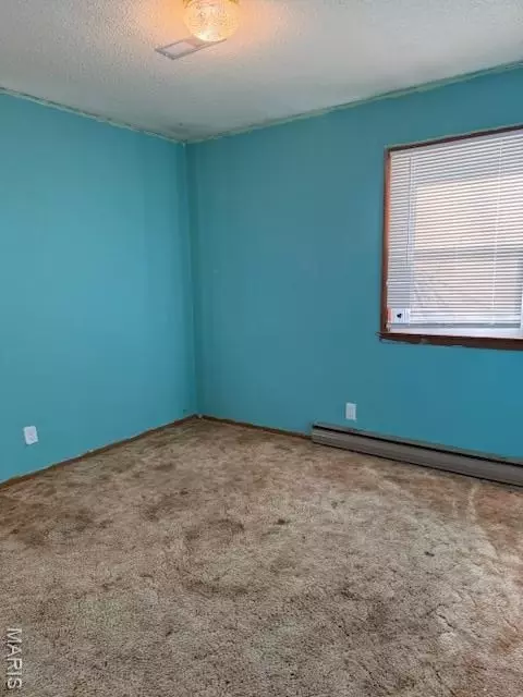 Other - 113 Beth St, Licking, MO 65542 photo 3 of 4