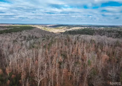 65 86 - County Road 2120, Rolla, MO 65401 photo 2