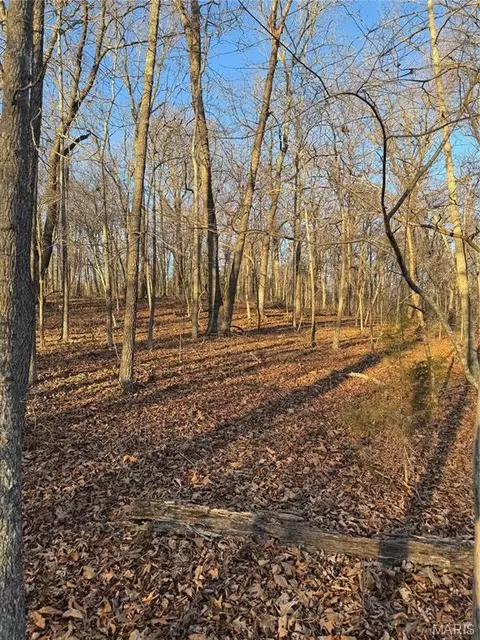 000 Texas Rd, Saint Robert, MO 65584 photo 3