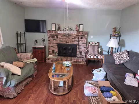 Living - 308 N Mccune St, Pilot Knob, MO 63663 photo 1 of 1