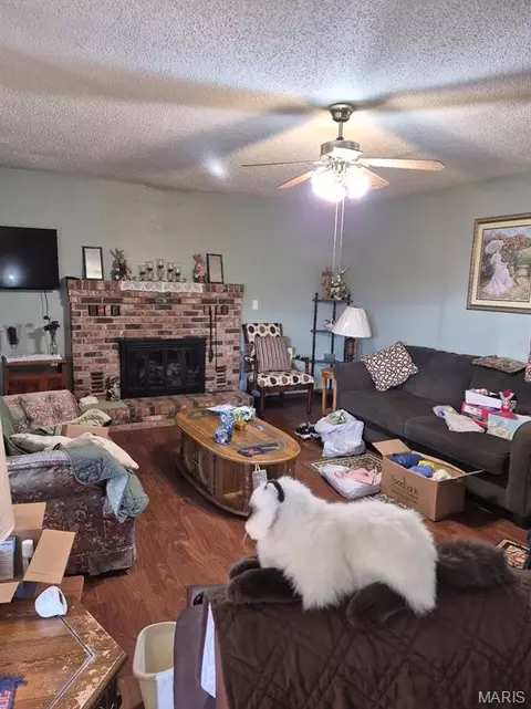 Other - 308 N Mccune St, Pilot Knob, MO 63663 photo 3 of 8