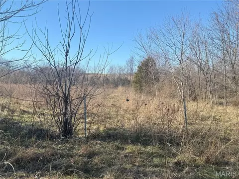 0 Bcr 352, Marble Hill, MO 63764