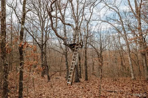 Exterior - 00 Medley Ln, Eldridge, MO 65463 photo 6 of 9