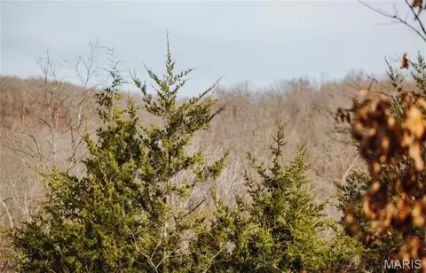 Other - 00 Medley Ln, Eldridge, MO 65463 photo 33 of 60