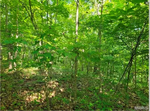 00 County Highway 410, Ellington, MO 63638