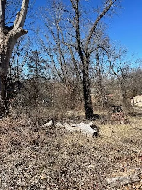 613 Main St, Leadwood, MO 63653