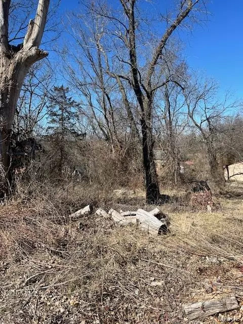 613 Main St, Leadwood, MO 63653