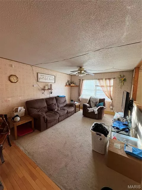 Living - 29623 State Highway C, Potosi, MO 63664 photo 2 of 3