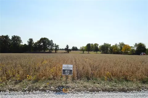 11300 Windsor Place Dr, Wright City, MO 63390