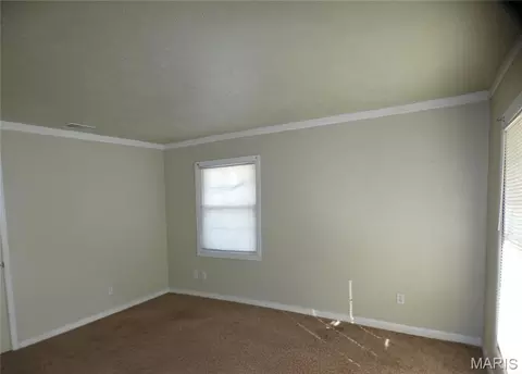 Other - 409 E Mound St, Sparta, IL 62286 photo 4 of 9