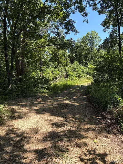 511 A Wayne, Mcgee, MO 63763 photo 2