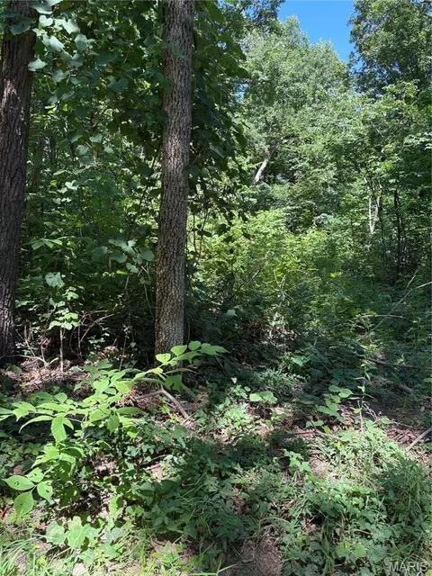 511 A Wayne, Mcgee, MO 63763 photo 5