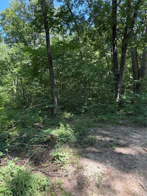 511 A Wayne, Mcgee, MO 63763 photo 4