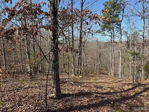1003 Hidden Valley Lks, Annapolis, MO 63620
