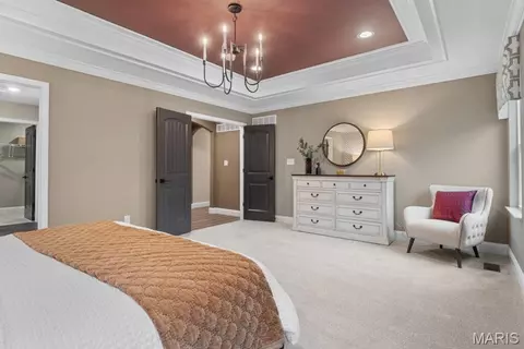 804 Joyce Ann Dr, Manchester, MO 63021 photo 24