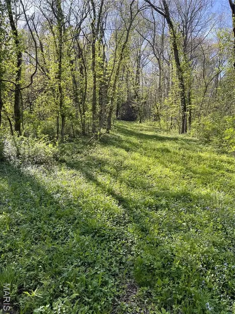 100 Jabin Farm Rd, Wright City, MO 63390