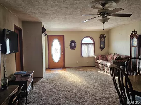 Other - 307 E Jenkins, Steeleville, IL 62288 photo 5 of 14