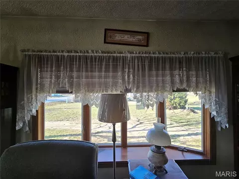 Other - 307 E Jenkins, Steeleville, IL 62288 photo 7 of 14