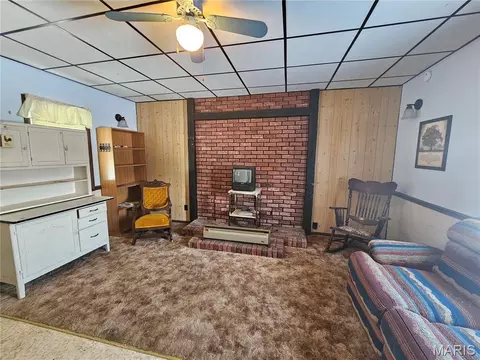 Living - 307 E Jenkins, Steeleville, IL 62288 photo 1 of 2