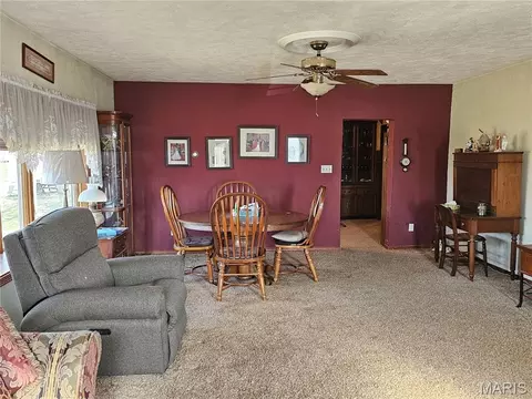 Other - 307 E Jenkins, Steeleville, IL 62288 photo 6 of 14