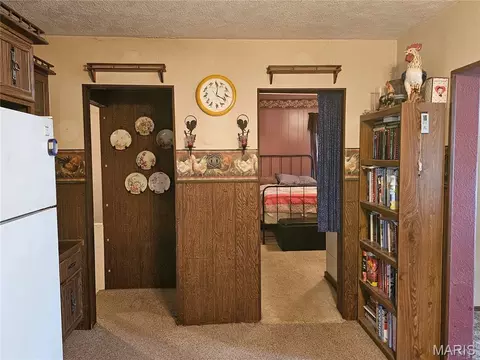 Entry Way - 307 E Jenkins, Steeleville, IL 62288 photo 1 of 2