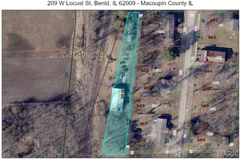 209 W Locust St, Benld, IL 62009 photo 1
