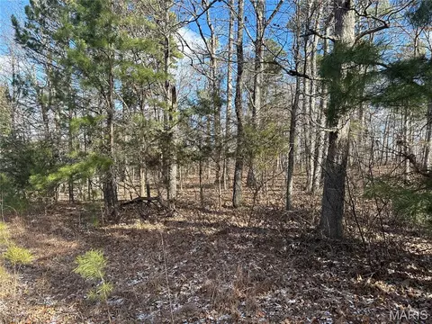0 Highway 72, Bunker, MO 63629 photo 6