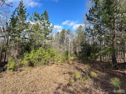 0 Highway 72, Bunker, MO 63629 photo 4