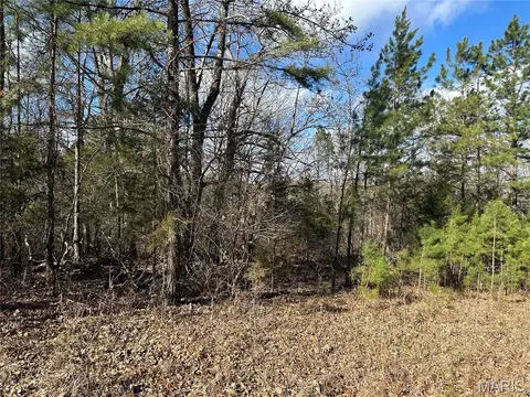 0 Highway 72, Bunker, MO 63629 photo 5