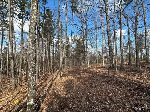 0 Highway 72, Bunker, MO 63629 photo 15