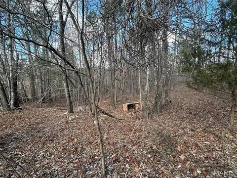 0 Highway 72, Bunker, MO 63629 photo 13