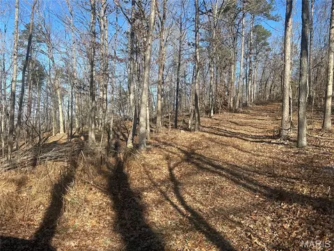 303 Madison Cr 410, Fredericktown, MO 63645