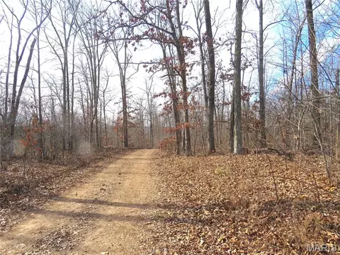 0 County Road 422, Ellington, MO 63638