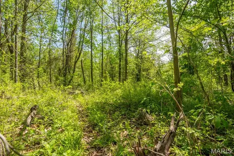 Other - 0 E Hwy, Bloomfield, MO 63825 photo 11 of 18