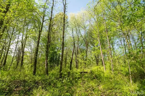 Other - 0 E Hwy, Bloomfield, MO 63825 photo 10 of 18