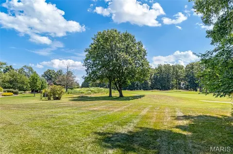 Exterior - 1069 Whitmoor Dr, Weldon Spring, MO 63304 photo 13 of 15