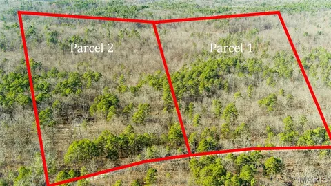 7183 County Road 5600 Parcel 2, Salem, MO 65560