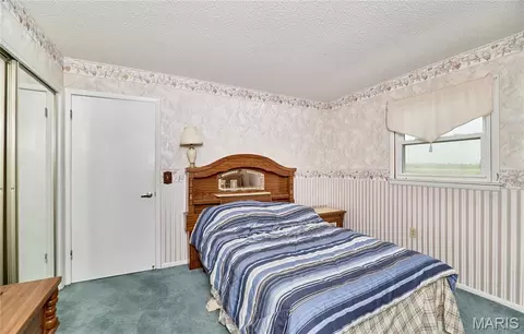 Bedroom - 339 White Rd, Hawk Point, MO 63349 photo 3 of 5