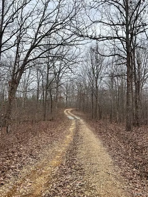 Highway T Forest Road 3697, Poplar Bluff, MO 63901