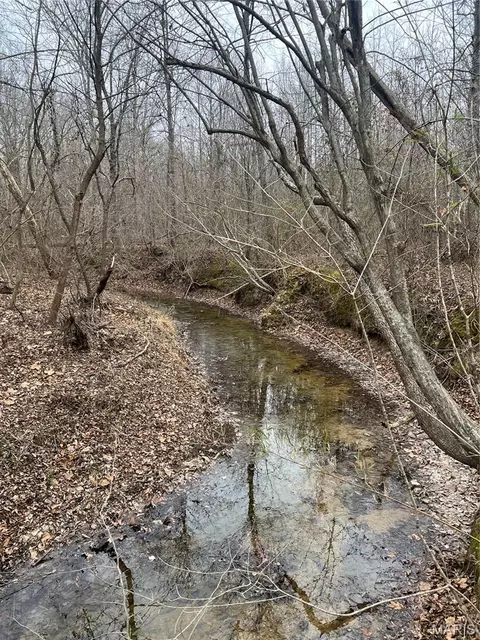 Highway T Forest Road 3697, Poplar Bluff, MO 63901